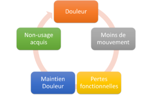 Cercle vicieux douleur-immobilisation